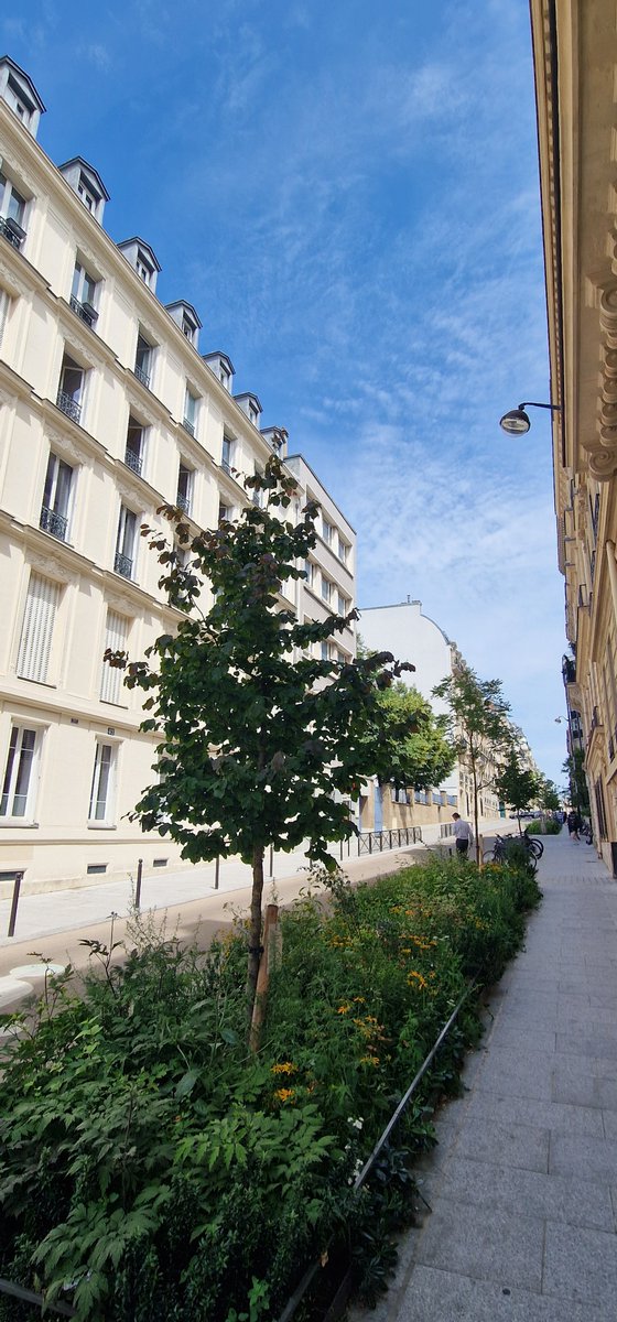 FredericMignard tweet picture