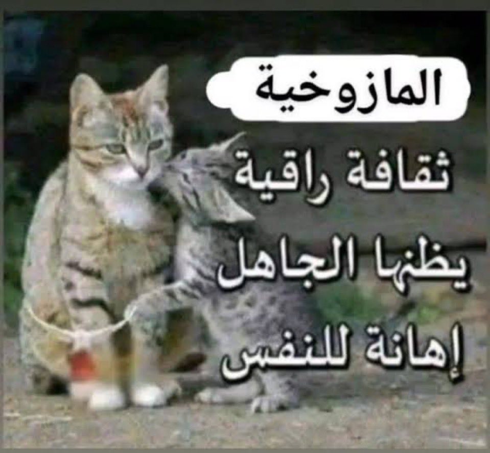 Ma!ek tweet media