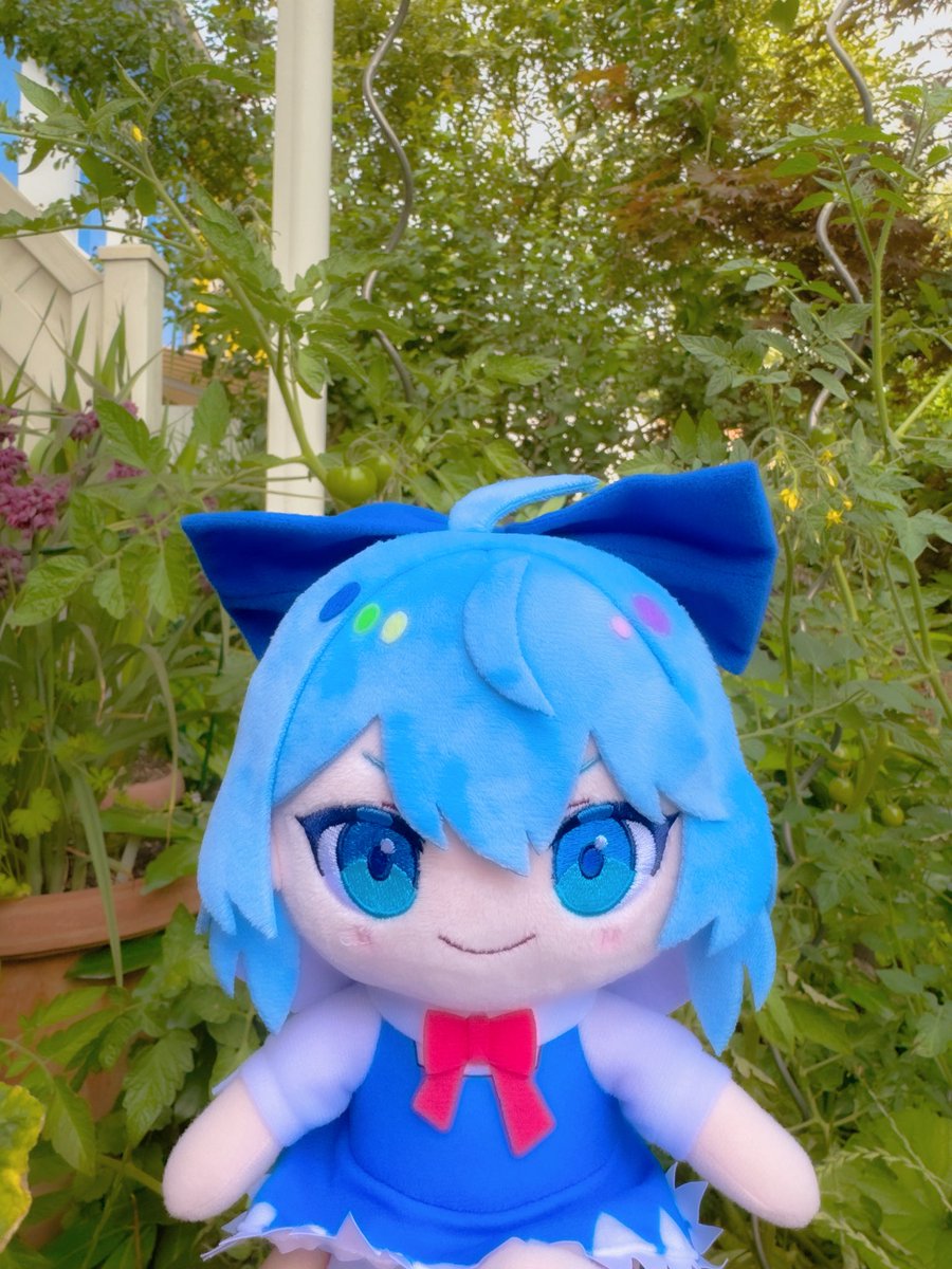 staraeryth's tweet photo. New Baka :3 https://t.co/C9IY2h0mTK