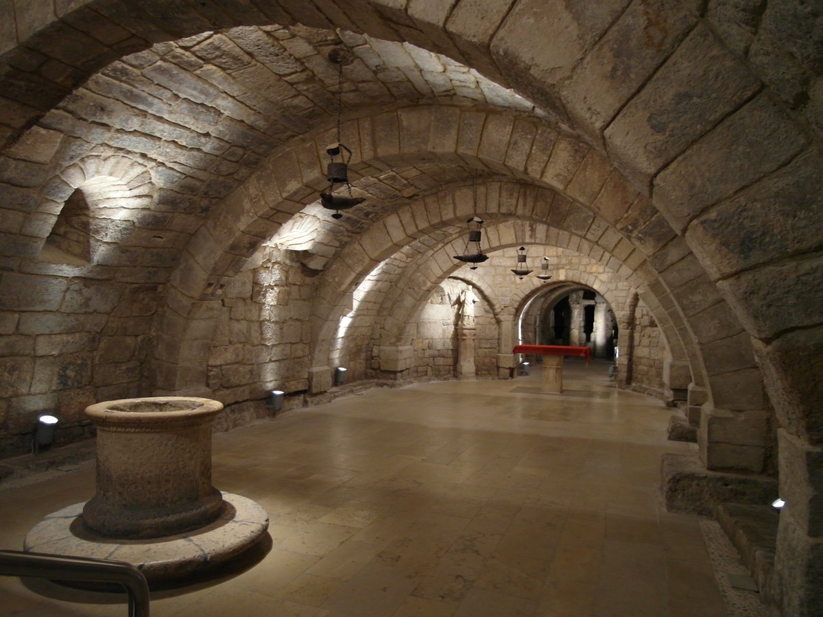 ElCampoAmarillo's tweet photo. La Catedral de Palencia, conocida con justicia como «La Bella Desconocida», esconde bajo el suelo de su imponente templo gótico uno de los secretos constructivos más fascinantes de la Meseta: la Cripta de San Antolín. Este espacio subterráneo funciona como una auténtica cápsula del tiempo que permite bajar, de forma literal, a los cimientos mismos de la historia territorial.

Lo que hace verdaderamente única a esta cripta es que conserva las dos almas primitivas sobre las que se levantó el monumento actual. Al descender, el espacio se divide de forma clara en dos épocas: una ampliación románica del siglo XI, de líneas sobrias y robustas, y, justo al fondo, el verdadero tesoro original. Se trata de una pequeña y angosta capilla visigoda del siglo VII, edificada con los característicos arcos de herradura de piedra para custodiar las reliquias del santo.

La atmósfera que se respira allí abajo destaca por un respeto absoluto hacia el pasado. Los maestros constructores del siglo XI no destruyeron el santuario visigodo anterior, sino que lo integraron con una precisión matemática impecable dentro de la nueva estructura. La superposición de las dos arquitecturas, desprovista de cualquier adorno innecesario y envuelta en una penumbra suave, genera un misticismo y una fuerza visual sobregogedoras.

Si visitas Palencia, descender a la Cripta de San Antolín es una experiencia imprescindible. Caminar en silencio entre sus muros es tocar la historia con los dedos, entendiendo de golpe cómo los grandes monumentos que hoy admiramos se asientan sobre capas de esfuerzo, ingenio y memoria que se remontan a más de mil años atrás.