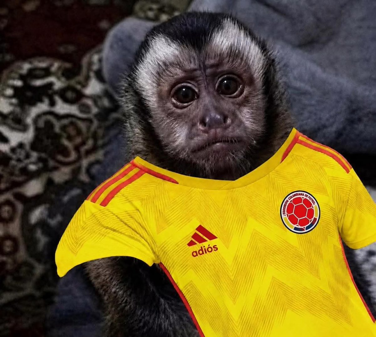 VenteDigo1's tweet photo. Yo viendo el partido con la camisa que dice Adiós que me compré en el centro https://t.co/zsCwifIwyQ
