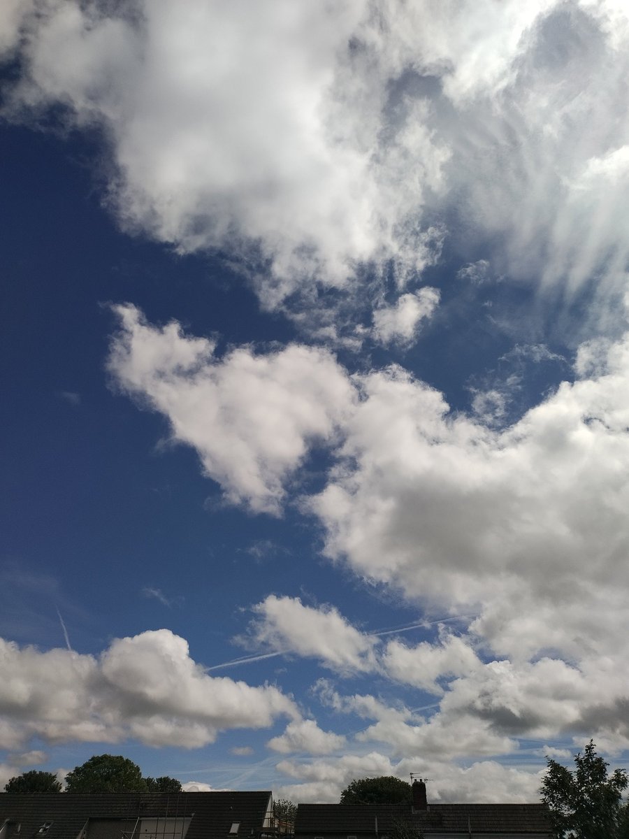 thesky_sa's tweet photo. The blue sky of today 🔵💙 https://t.co/gSZi45QMlI