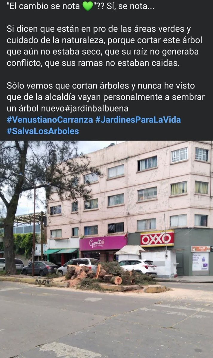 virigp85's tweet photo. @A_VCarranza @evelyn_parraA  HASTA CUÁNDO SERAN UN POCO COHERENTES EL TALAR ÁRBOLES NO ES LA SOLUCIÓN SÓLO ES PARTE DEL PROBLEMA @greenpeacemx @AztecaNoticias @ImagenTVMex @c4jimenez @siete_letras https://t.co/hsgvpuEsUo