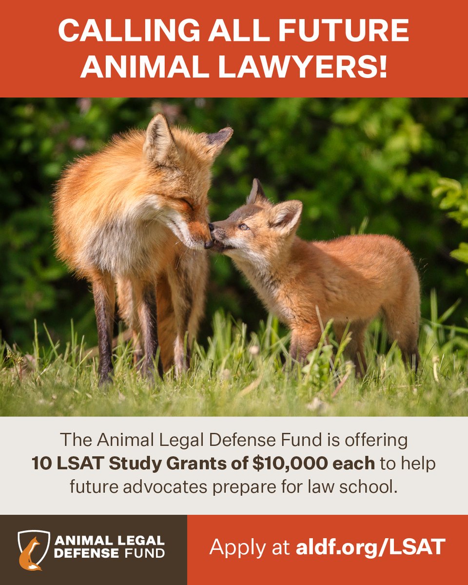 ALDF tweet media
