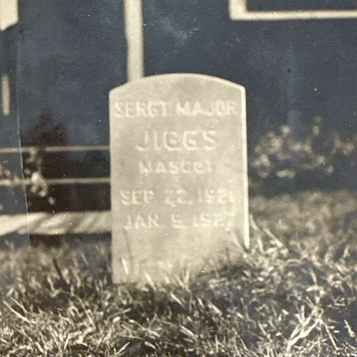 RobertBillardJr's tweet photo. One of the major reasons why I’m so interested in researching SgtMaj Jiggs is that I think these mascots deserve to be properly venerated in Marine Corps lore. 

General Harry Lee had the headstones removed in or around 1934. For what reason I do not know.

But Camp Pendleton has multiple memorials and plaques for Sgt Reckless the horse. I think commemorating the Corps’ first mascot is a worthy endeavor.