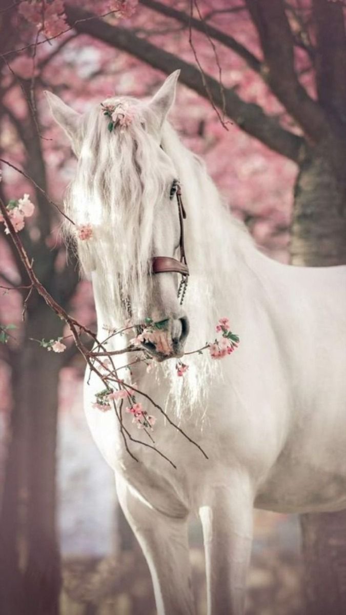 Wassnn_a's tweet photo. اذا صدق الود  استغنى عن الكلام 
فالمشاعر الصادقه تُرى قبل ان  تُقال 

#خاطرة 
#فضفضة_مشاعر https://t.co/1Yd155OSws