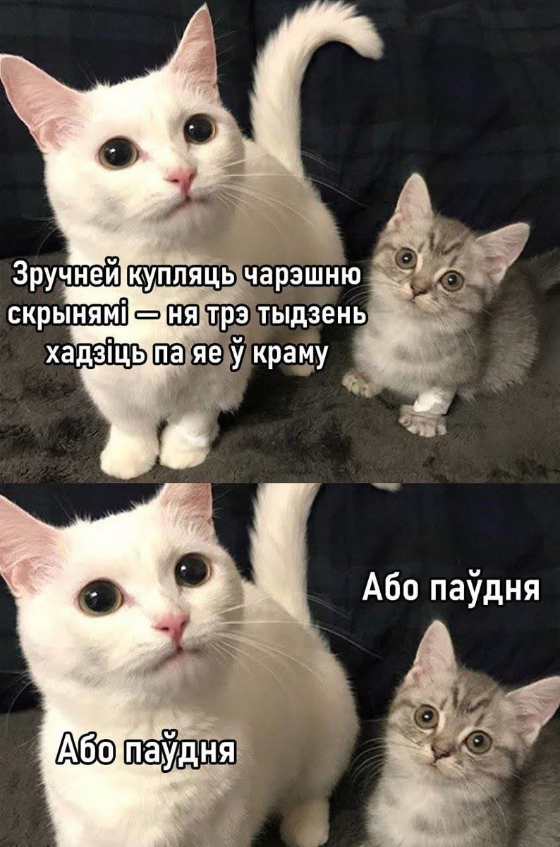Irenetrical's tweet photo. Почалося 🫦 https://t.co/KYYmGNK2C7