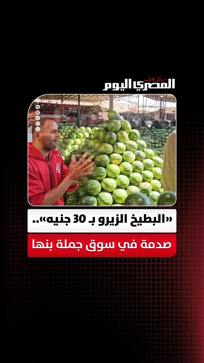 «البطيخ الزيرو بـ 30 جنيه».. صدمة في سوق جملة بنها والمزارعون يشتكون الركود. تصوير: علي إسماعيل 