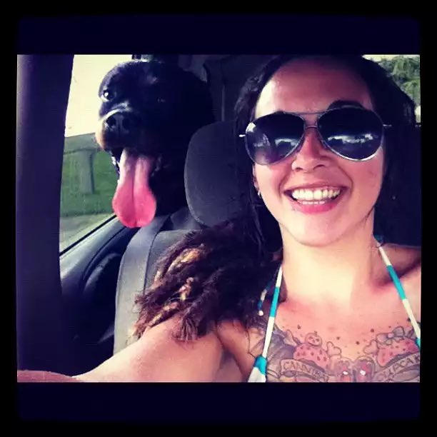 doggynottrt's tweet photo. Ask for menu explore more 🐶🐾🐴🌹 fun with my dogs on telegram get access to unlock over 5000 mega videos 📸 
https://t.co/8iJ8hzk5Zw
Join my premium channel 🐶🐾 get live stream show face time call's much more exclusive package,https://t.co/8iJ8hzk5Zw https://t.co/AYVkyw7ZG1