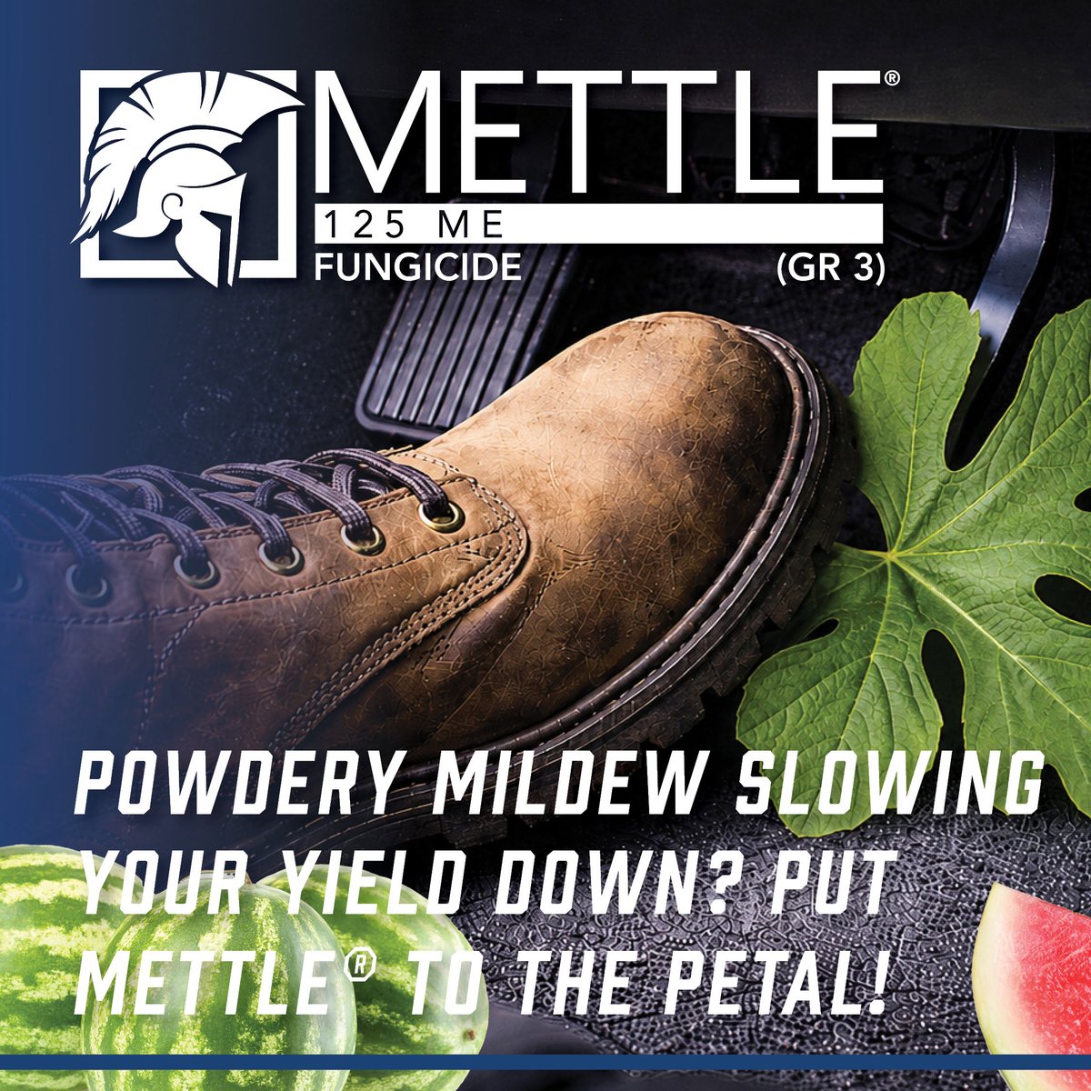 gowancanada's tweet photo. 🍉 Powdery mildew slowing your yield down?

Protecting crop health starts with staying ahead of disease pressure.

Mettle® 125 ME Fungicide combines strong systemic activity with advanced formulation technology to provide dependable control of powdery mildew while supporting your resistance management strategy.

From improved penetration to rapid movement within the plant, Mettle® is built to help growers maintain healthy vines and protect yield potential throughout the season.

Put Mettle® to the pedal and stay ahead of powdery mildew.