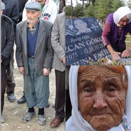 DENİZ_TOPRAK2 tweet media
