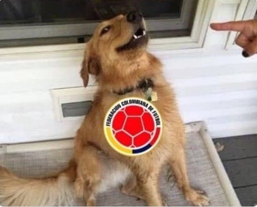 carolinagky's tweet photo. Vamos Colombia Portugal quedó en empate, es tu puta oportunidad para quedar de líder en el grupo! No la vayas a cagar!!! Vamos con toda!!! 💛💙❤️ https://t.co/Qj26f8sjUW