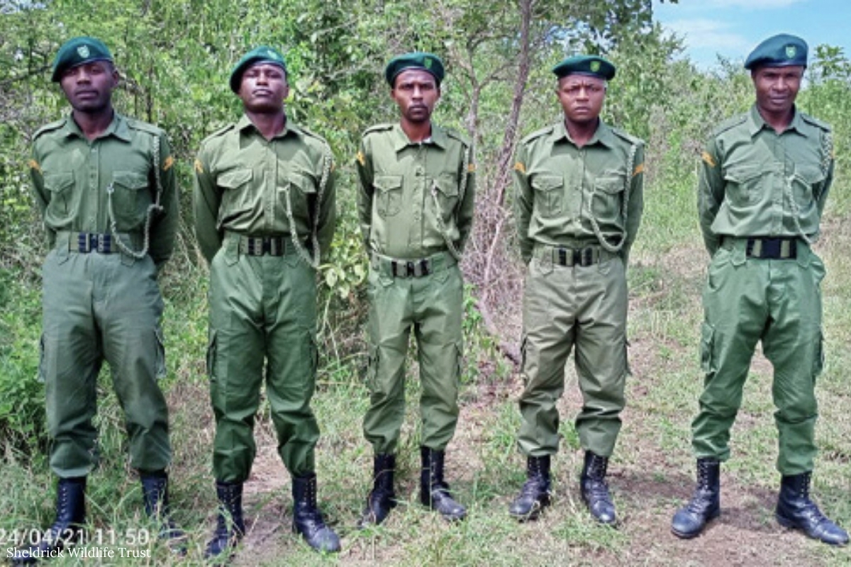 Sheldrick Wildlife Trust tweet media