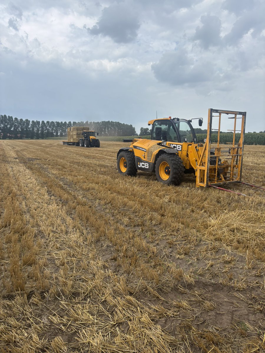 stijnderks's tweet photo. Al draaien onze weken momenteel nog vooral om #gras ook het eerste #gerstestro van de oogst 2026 komt er aan.
Dus beste volgers in de melkvee- en geitenhouderij wie mogen we een aanbieding doen?
Levering van grote volumes en door heel NL geen enkel probleem!
Last van u horen! https://t.co/6EQ6lIlBRL