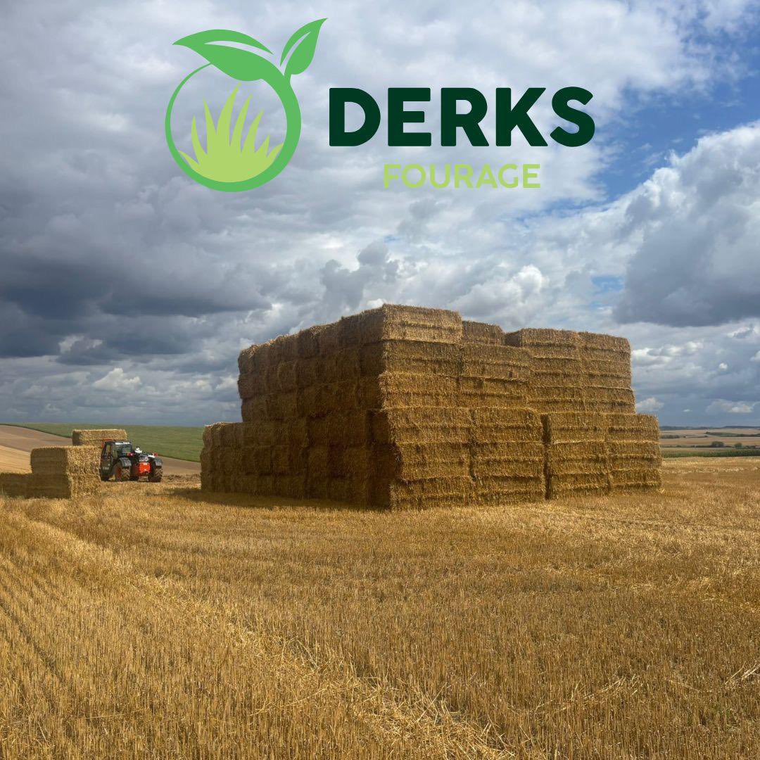 stijnderks's tweet photo. Al draaien onze weken momenteel nog vooral om #gras ook het eerste #gerstestro van de oogst 2026 komt er aan.
Dus beste volgers in de melkvee- en geitenhouderij wie mogen we een aanbieding doen?
Levering van grote volumes en door heel NL geen enkel probleem!
Last van u horen! https://t.co/6EQ6lIlBRL