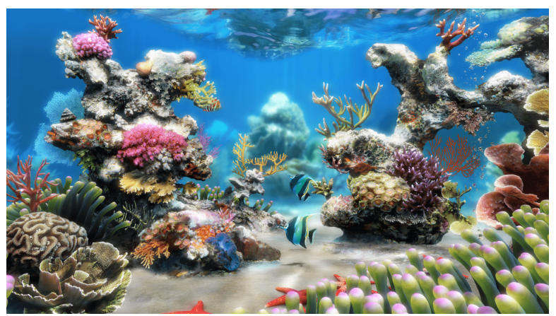 oncomp's tweet photo. Want a free virtual aquarium? Type FREEFISH after you click the link below.
https://t.co/kLlV4DpH0R
The Live Aquarium 4K⁠ has 25 species of fish and a choice of backgrounds. I like the one with all the sharks. https://t.co/gJjjKs5jnu
