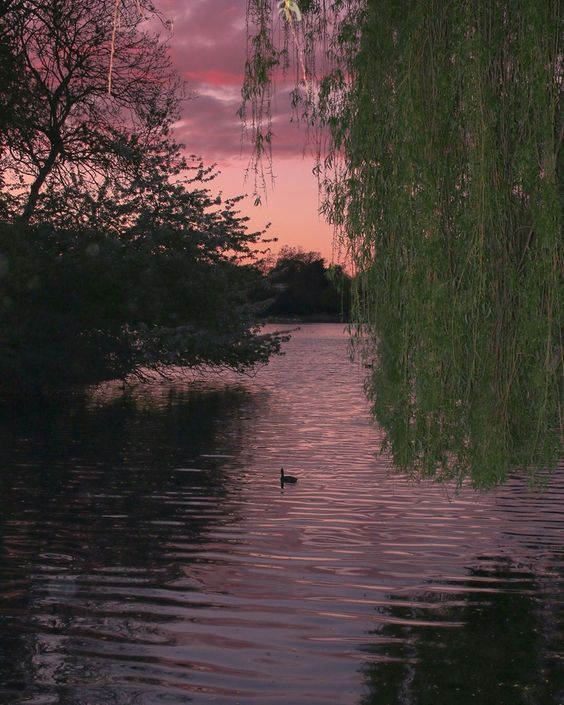 aestheticpost's tweet photo. A perfect mirror of a wild sky. https://t.co/0zP3nvjOib