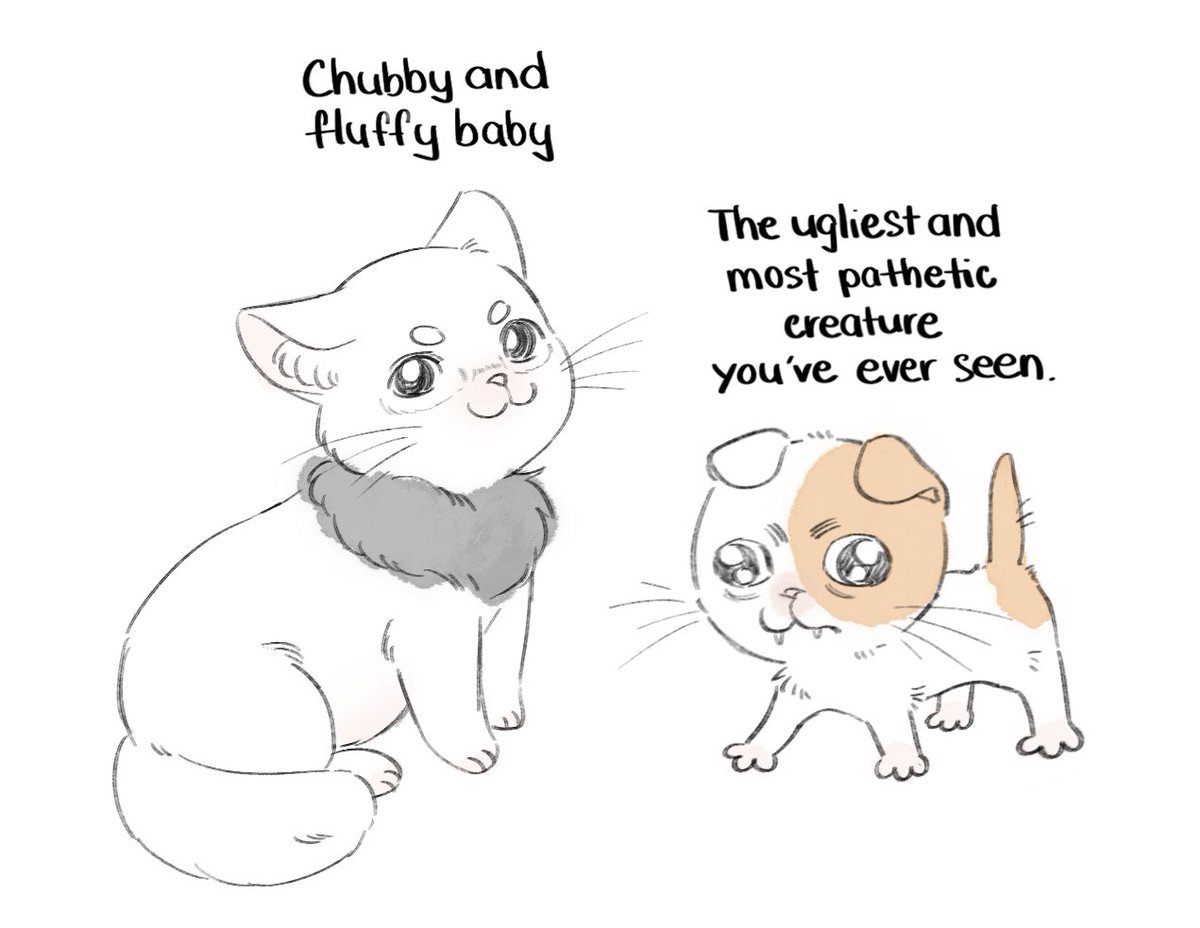 sloppyhay_1923's tweet photo. khá là ngẫu nhiên nhưng đây là headcanon của tui về dạng mèo con của hai đứa này https://t.co/soalz6aNha