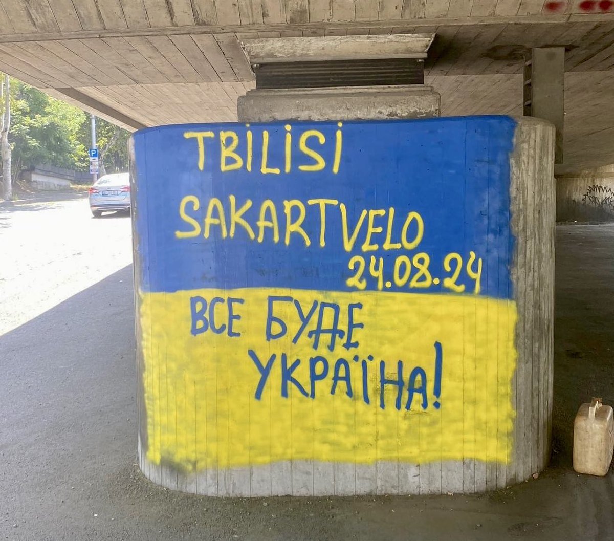 tata_chemia's tweet photo. მე საქართველოდან ვარ და მხარს ვუჭერ უკრაინას!

Я з Грузії. Я за Україну. 💛💙

I'm from Georgia. I stand with Ukraine.

#StandWithUkraine 🇬🇪❤️🇺🇦 https://t.co/ramOJHg0A5