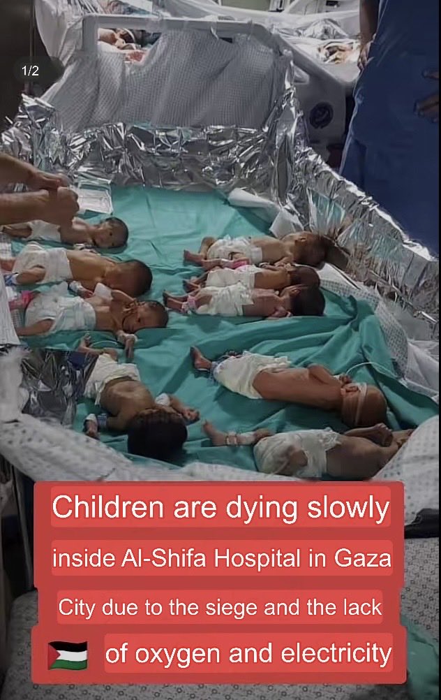 mm6322's tweet photo. @realMaalouf What do you think of what Israel is doing? We haven't seen you speak about their crimes. https://t.co/giXJogXaee