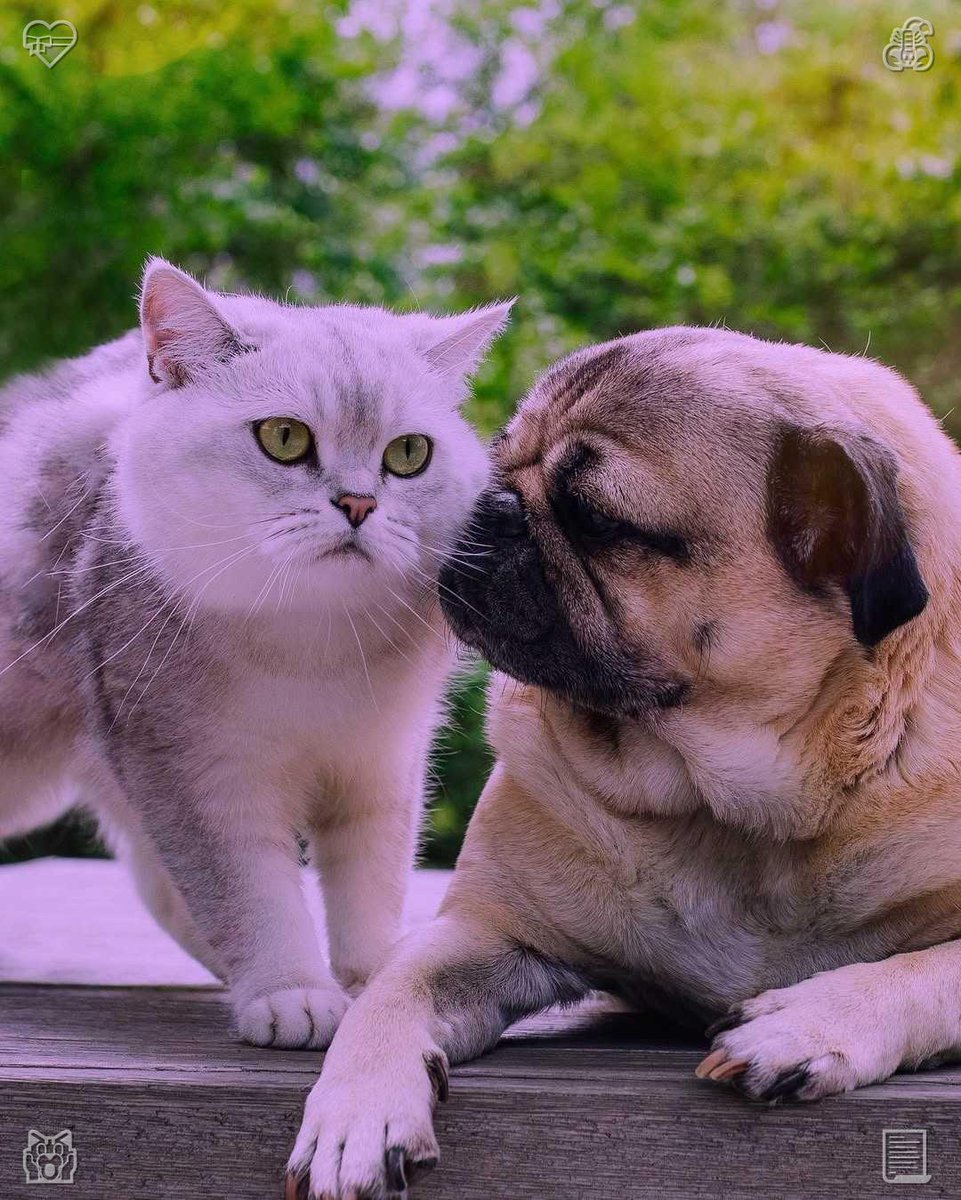 gracemeiners's tweet photo. Travel documents the evolution of life. Each journey marks a phase of perception and development, witnessing the ongoing progression of the self. https://t.co/WbstRfs3Xh