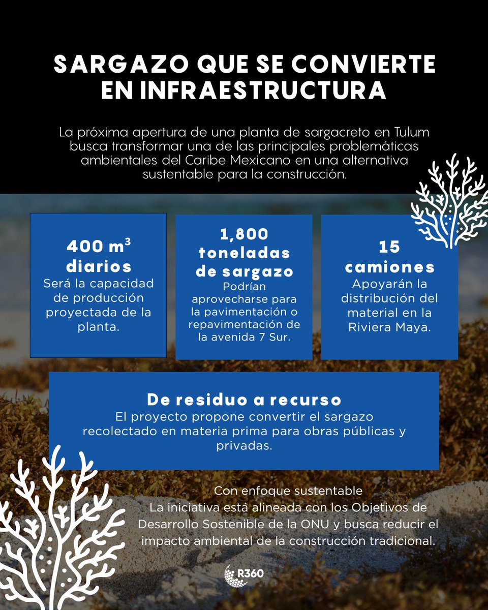 ruptura360's tweet photo. ¿El sargazo como solución? 🌿🏗️
Tulum abrirá una planta de sargacreto para transformar este residuo en materia prima sustentable para obras en la Riviera Maya.
Más detalles👇
https://t.co/rbGpJxZnZq 

#R360 #CriaturaDigital https://t.co/VO8PxAtYva