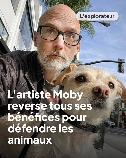 KFranc91's tweet photo. Que les artistes français en prennent de la graine... https://t.co/w1kCry71v5