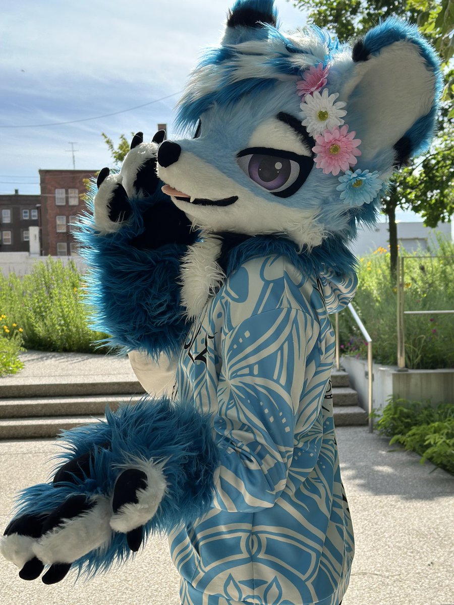 🌸RoyalWusky🌸🔜 Megaplex26, MFF tweet media
