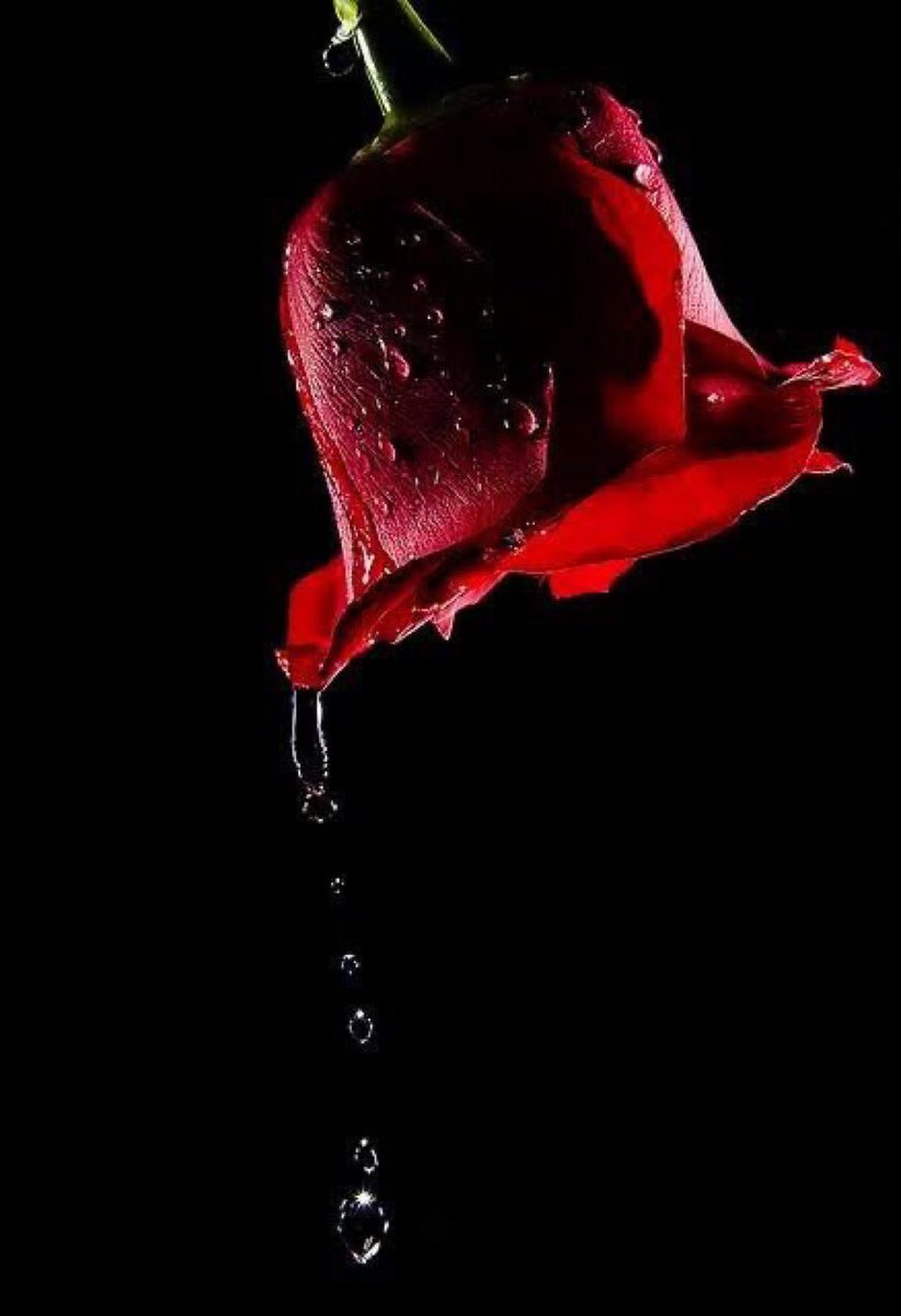 بـقـايـا حـلم 🥀 tweet media