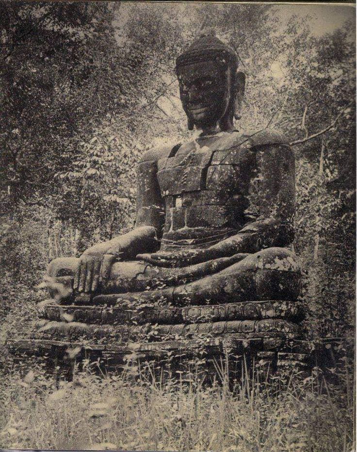 thecosmicpoet's tweet photo. Eyes downcast, not footloose,
devoted to absorption, 
they’d be very wakeful.
Grounded in equanimity, serene,
they should cut off worrisome habits of thought.

- Sāriputtasutta, Snp 4.16 https://t.co/1tmuYbXz9i