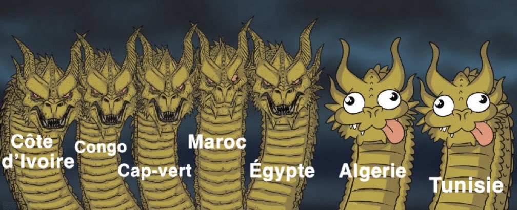 NassimMTL's tweet photo. L’Afrique dans cette coupe du monde 2026 https://t.co/s8fW6p1VMM