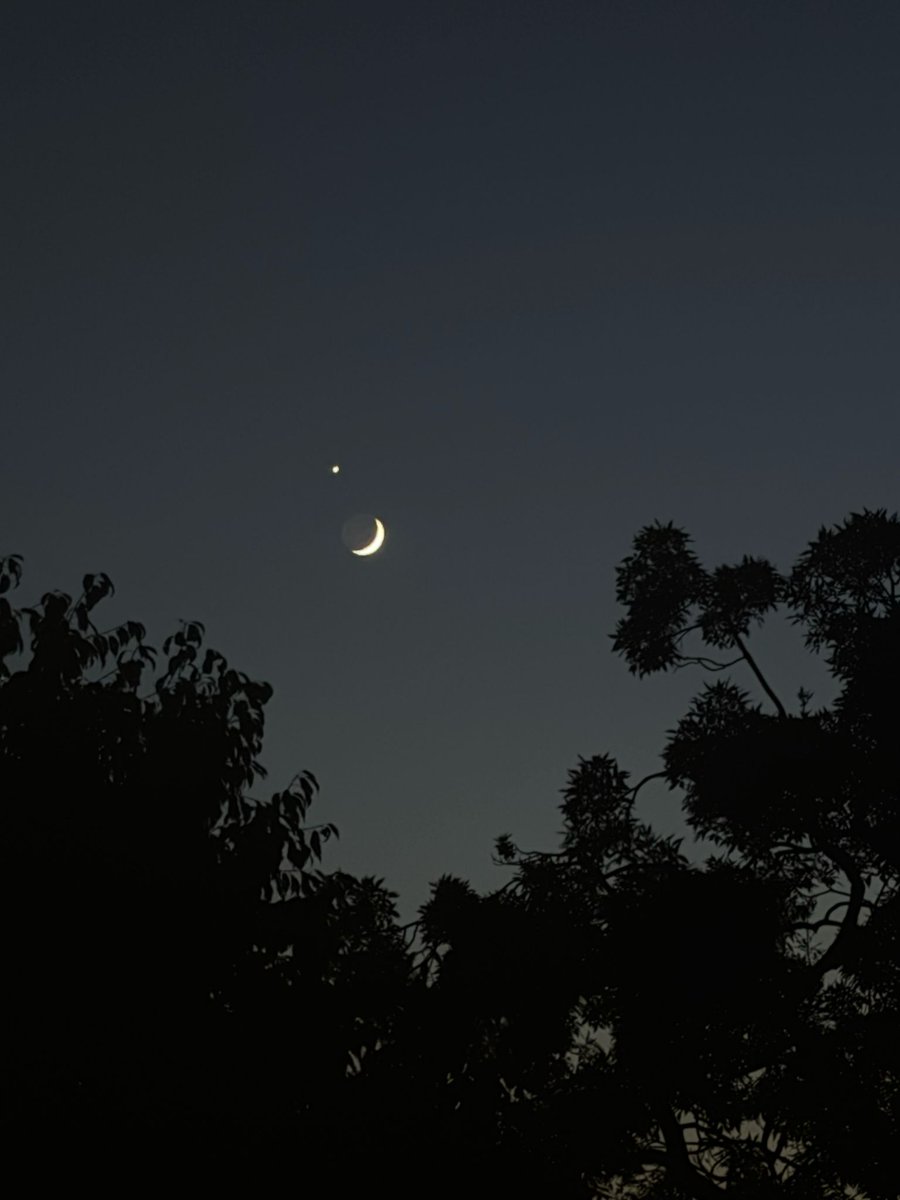 martina_fi's tweet photo. Guardo la luna e ti penso: lo so che lo fai anche tu. https://t.co/45NNNNos9g