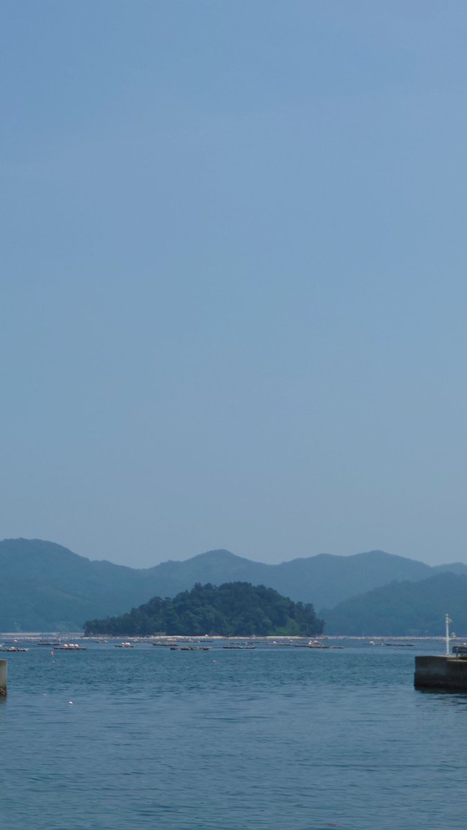 寅丸水   さん tweet media