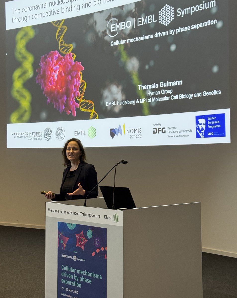 The_Gutmann's tweet photo. Had a great EMBO|EMBL Symposium on "Cellular Mechanisms Driven by Phase Separation" and was delighted to present our perspective on biomolecular condensation in virus–host interactions. Congrats to our  Predoc Silja Zedlitz @HymanLab on a poster prize! #EESPhaseSeparation @embl https://t.co/BoekK6MBpa