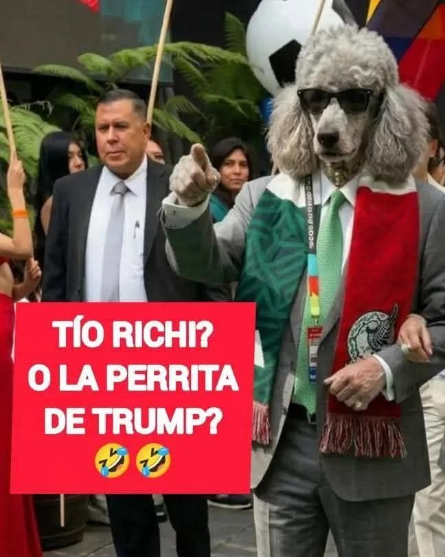 Hctor14263676's tweet photo. https://t.co/Sa1ZxDuTGW