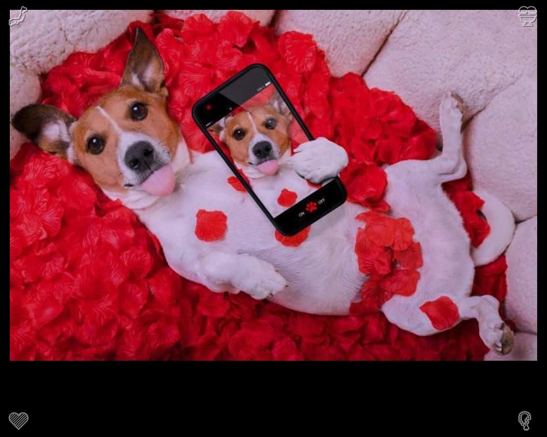 ebebout5's tweet photo. The simplicity of puppies washes away worldly complexities. Their innocent minds allow people to abandon trivial utilitarianism and experience genuine happiness. https://t.co/pu70Mz0yf8