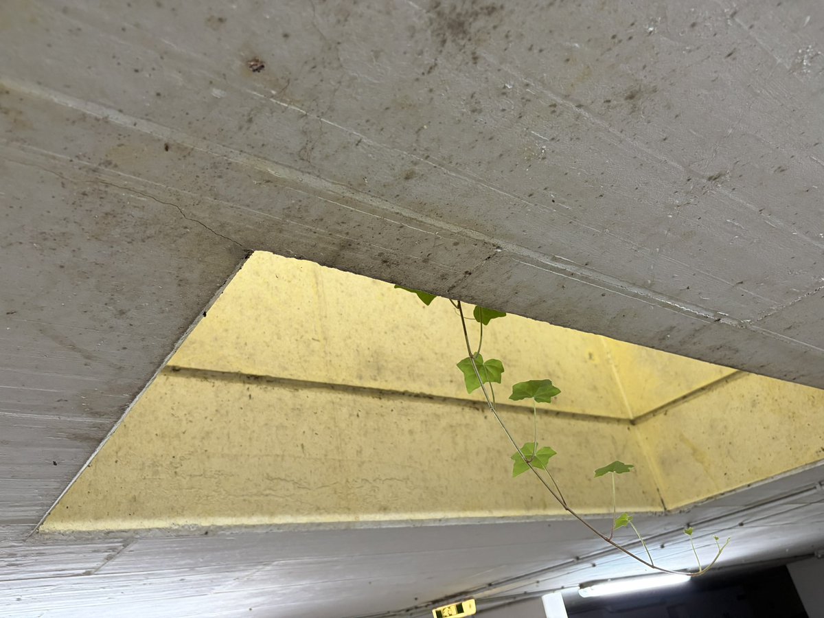 AR_Kleinert's tweet photo. https://t.co/lD6C46gWaB