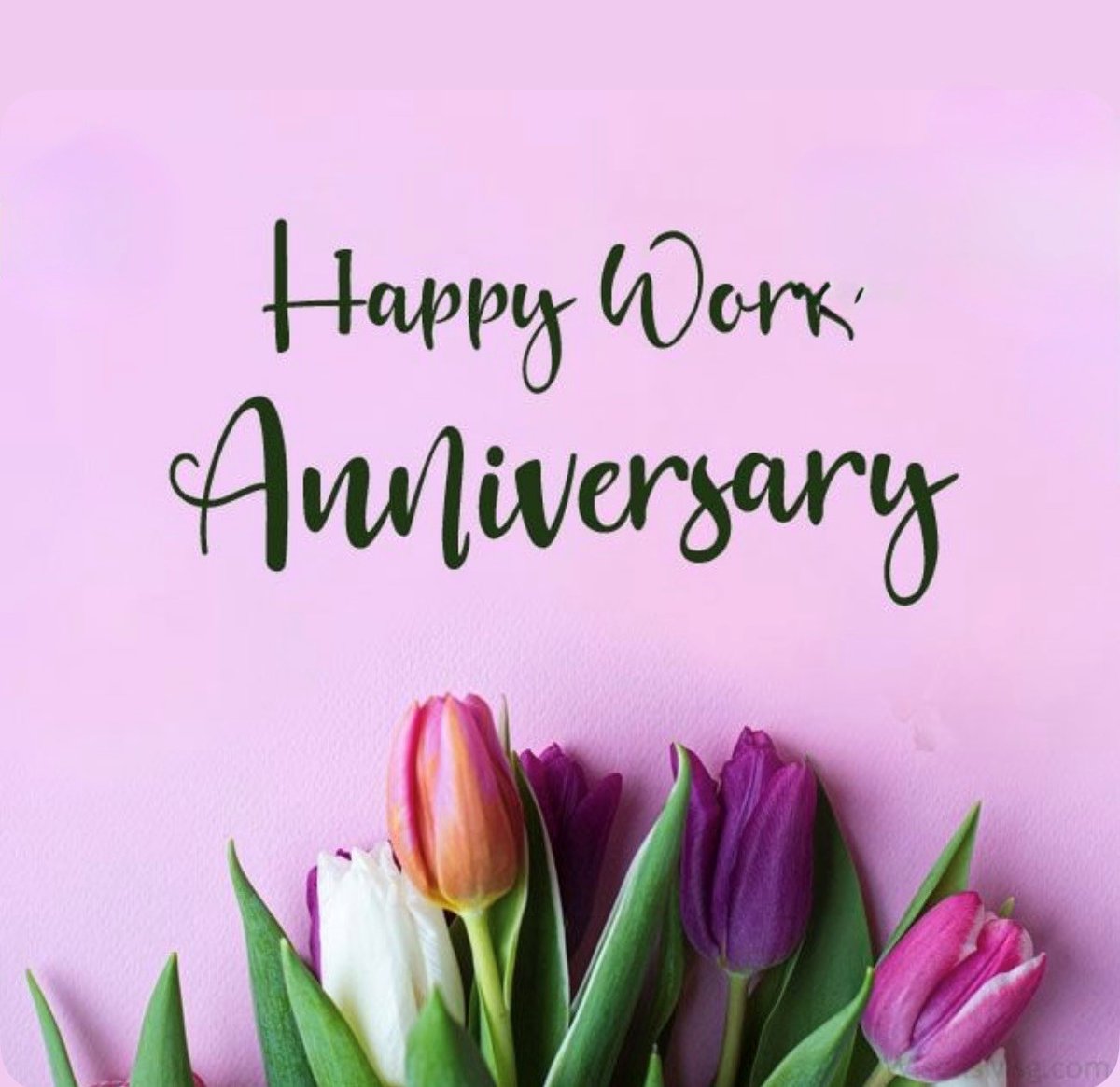 HoskinsonAgency's tweet photo. Happy 3rd work anniversary Tina Marie!  Thank you for all that you do for the agency and your customers.  We are glad to have you as part of the team. 🥳 #WorkAnniversary #EmployeeAppreciation #TeamMilestone #WorkCelebration #TeamSuccess https://t.co/U4SEIE6S9k