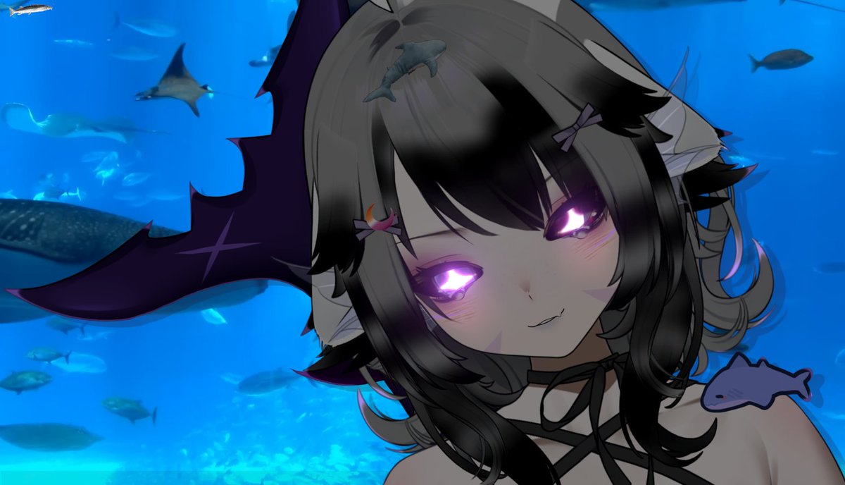Yurifin | Shark VTuber 🦈 tweet media