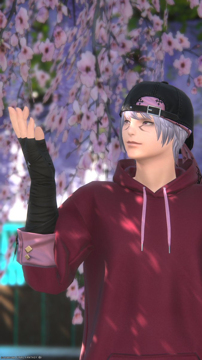 YuR_yx's tweet photo. おはよ🌸

#オスッテ #ミコッテ #おはミコ #FF14 https://t.co/fASoRqrGkr