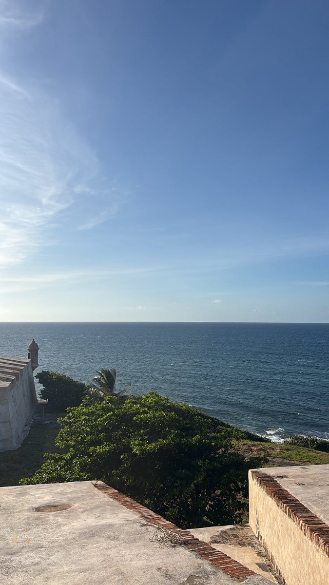 dreajmorg's tweet photo. 🇵🇷 https://t.co/iiGB0F8Iln