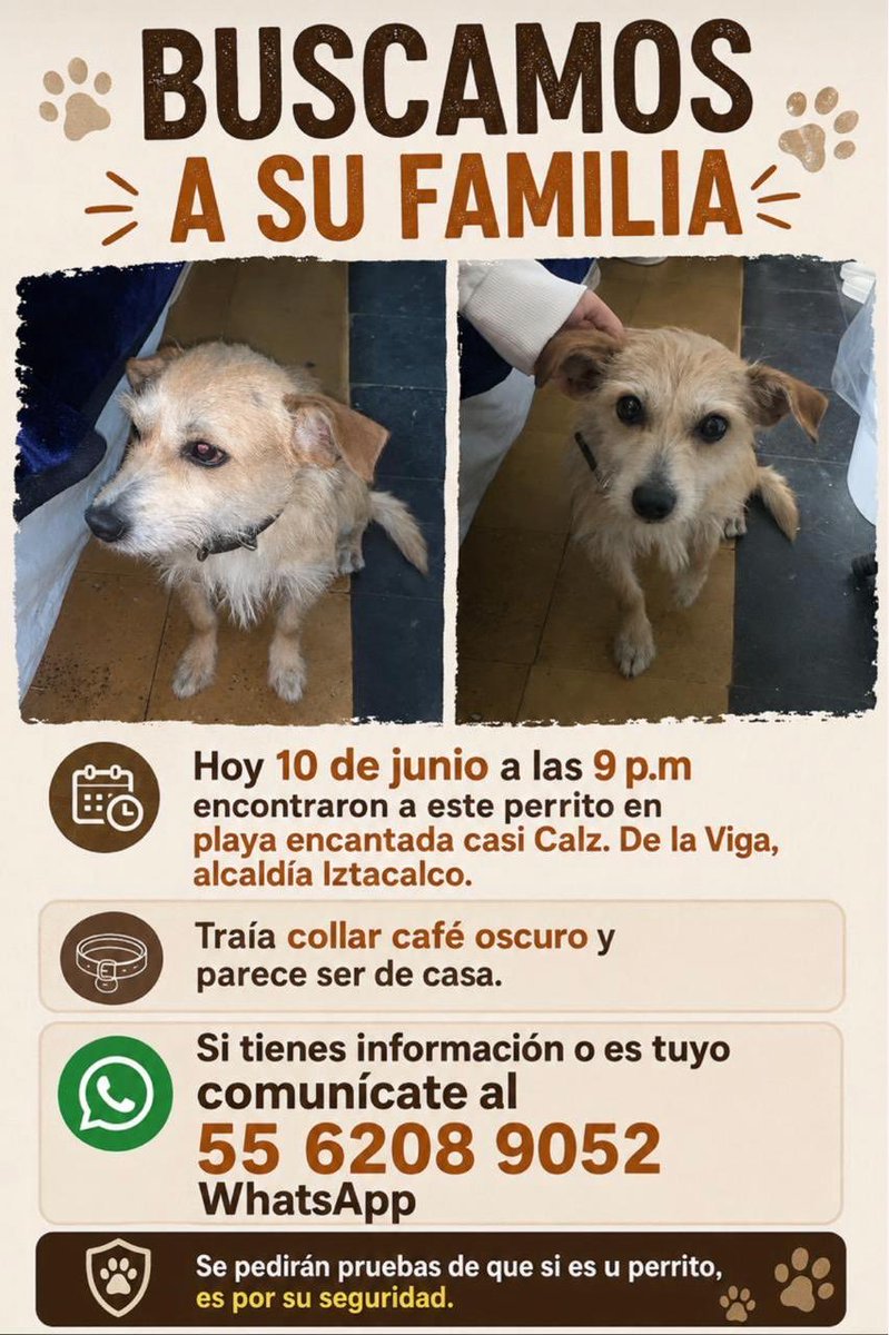 AlejandraVegaF5's tweet photo. ATENCIÓN IZTACALCO ‼️ encontrado y resguardado , se busca a su familia https://t.co/HcBujgTUkN