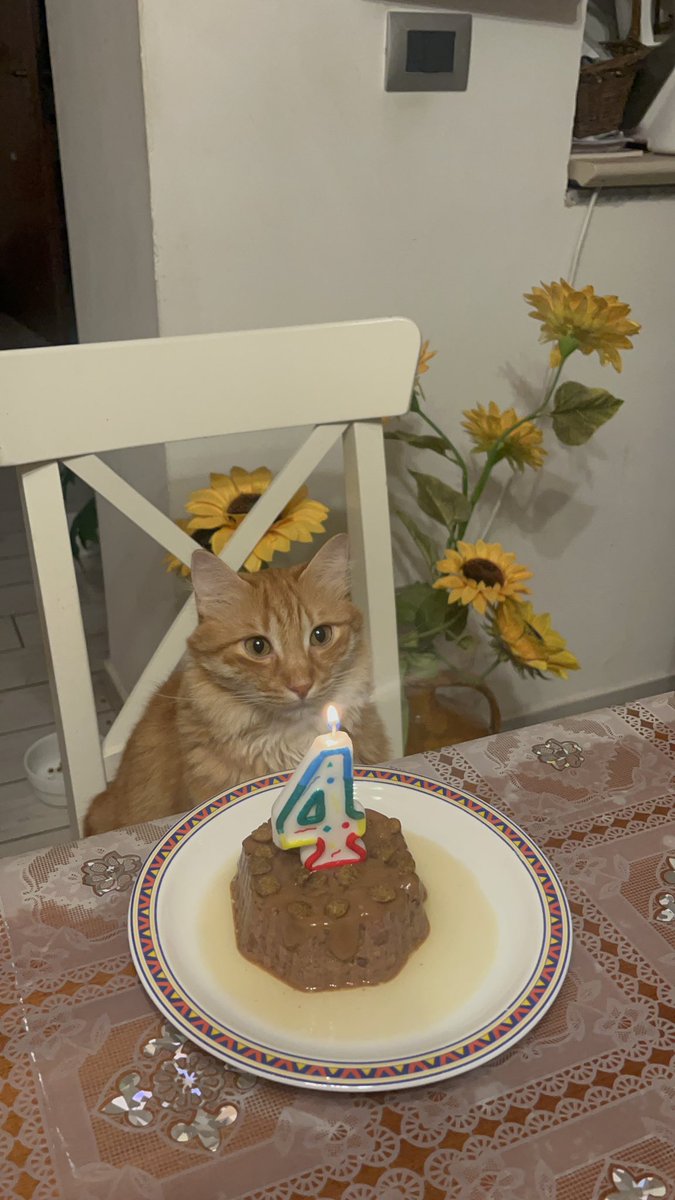 saramaurooo's tweet photo. tanti auguri paky😭😭😭 https://t.co/0l8KyFXf5j