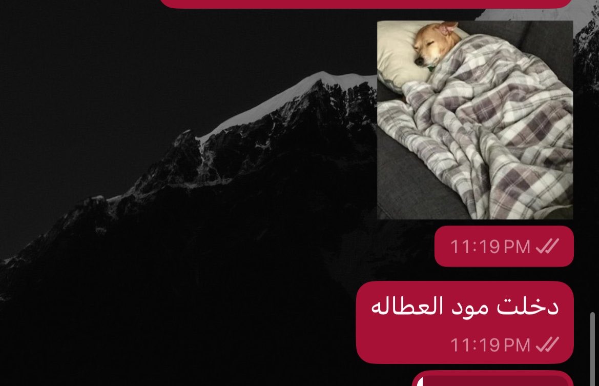 MA tweet media