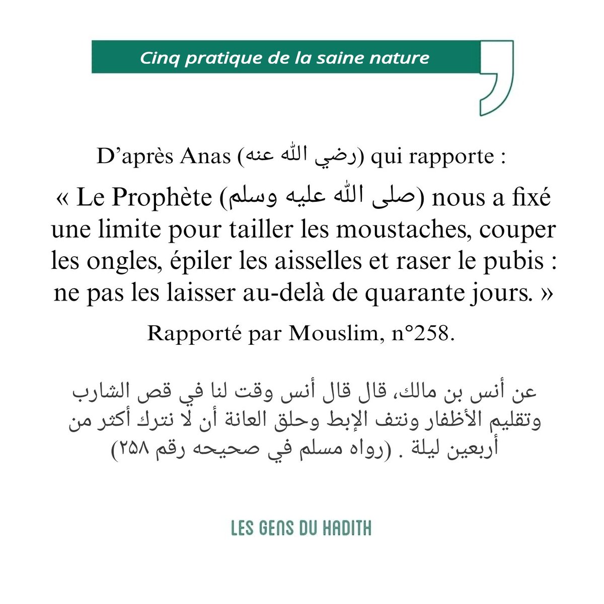 Ahlou_Sounnah's tweet photo. Question : La question concerne les dispositions de la saine nature (sunan al-fitra) pour lesquelles le Prophète (صلى الله عليه وسلم) a établi un délai qu’il a fixé à quarante jours.
Est-ce que nous devons obligatoirement tenir compte de ce délai, de sorte que si nous nous rasons les poils pubiens qu’au quarante deuxième jour, nous commettons un péché ? 

Réponse : Absolument, car le sens du délai est qu’il n’est pas permis d’en dépasser la limite comme c’est également le cas pour les périodes fixées pour les prières (obligatoires).
De même, il n’est pas permis au pèlerin, ni même au visiteur des lieux saints (mouعtamir), de dépasser le miquat à partir duquel il doit entrer en état de sacralisation sans son ihram.
De la même façon, il n’est pas permis à celui qui n’a pas d’excuse valable de dépasser ce délai fixé à quarante jours pour se raser les poils pubiens ou couper ses ongles ou pour toute chose faisant partie des dispositions de la saine nature (al-fitra).
Il est donc nécessaire de se conformer à ce délai de quarante jours. Si le terme de ce délai est dépassé, on commet alors un péché.
(Extrait de « Silsila al-houdâ wa an-noûr » K7 n°25 face.B de Shaykh Al-Albânî)

#fitra