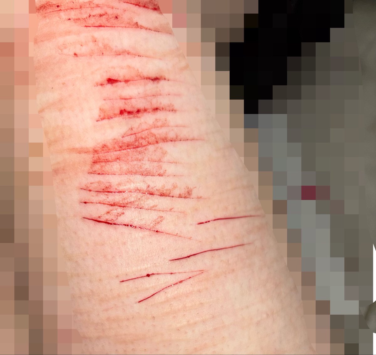 0BS3SSOR's tweet photo. small sesh from the other day , might do more l8r https://t.co/4TTCTr0EQl