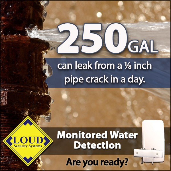 loudsecurity's tweet photo. June is National Safety Month: Did you know water damage is one of the most common insurance claims. Consider leak detection near water heaters and sinks—because water doesn’t warn you first. Call 678-GET-LOUD #GetLOUD https://t.co/lq3LFxHiVY