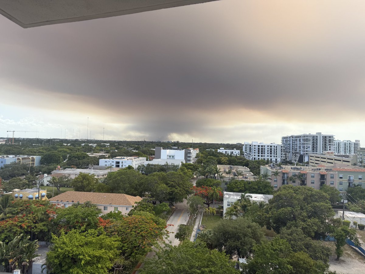 onecalltal's tweet photo. @OfficialJoelF more fires sparking in
West dade/broward https://t.co/nqJUQ9knnf