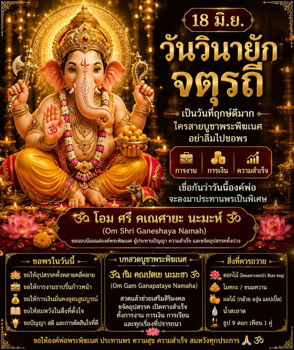 Grace Phapada tweet media