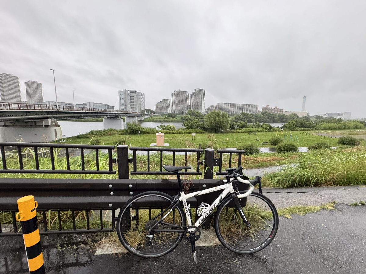 vipperwatata's tweet photo. モクモク木曜日
5:25ガス橋
20℃雨☔ https://t.co/xBKwRjrBbi